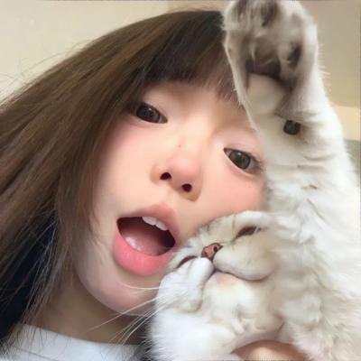校园秘密档案 封面