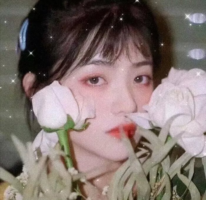 狂野的爱 封面
