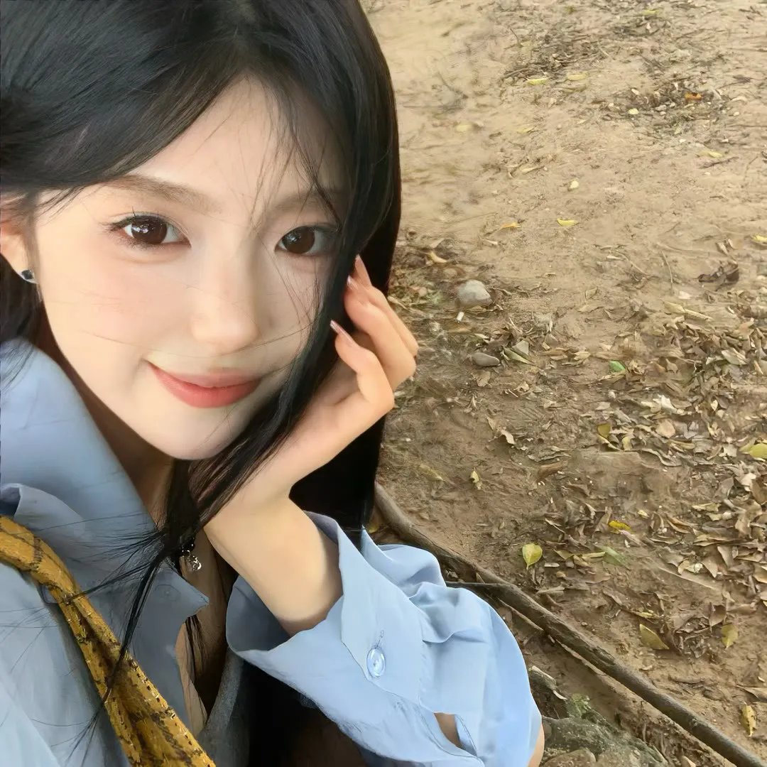 紫日 封面